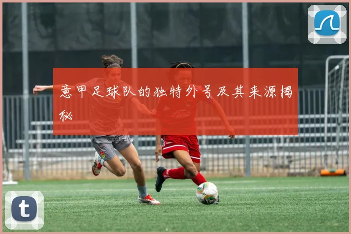 意甲足球队的独特外号及其来源揭秘