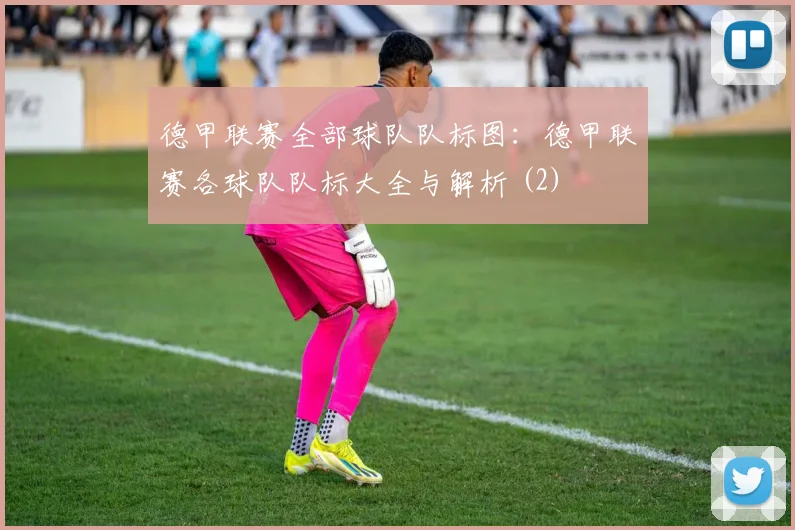 德甲联赛全部球队队标图：德甲联赛各球队队标大全与解析 (2)