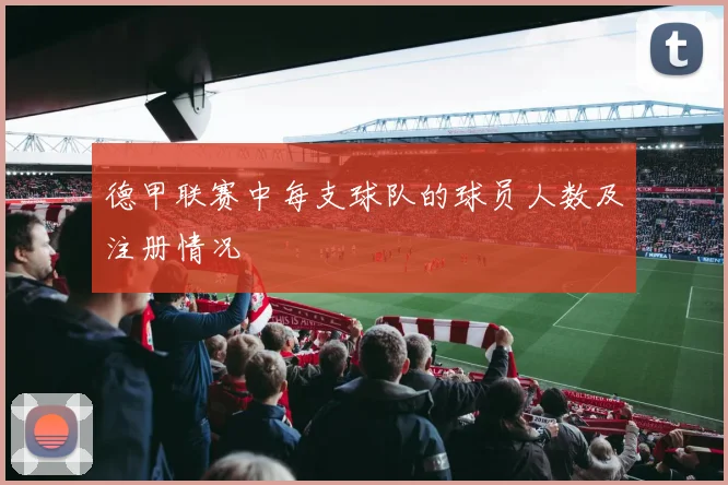 德甲联赛中每支球队的球员人数及注册情况